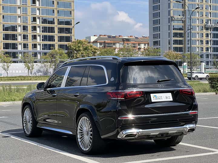 Mercedes-Benz Maybach GLS, 2021 — фото 6 из 12
