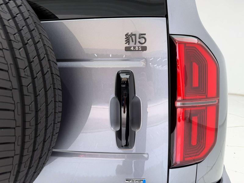 BYD FangChengBao Leopard 5, 2025 — фото 10 из 12