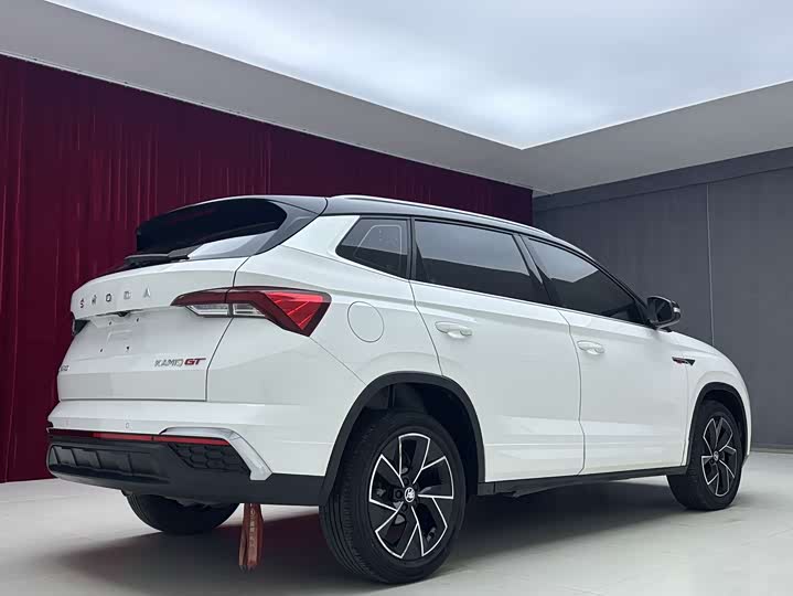 Skoda Kamiq, 2021 — фото 6 из 9