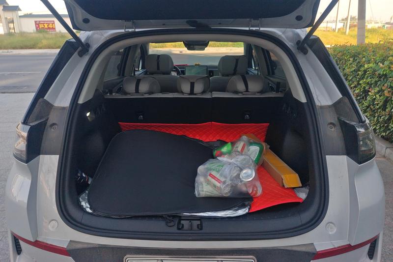 BYD Sea Lion 05 EV, 2025 — фото 9 из 10