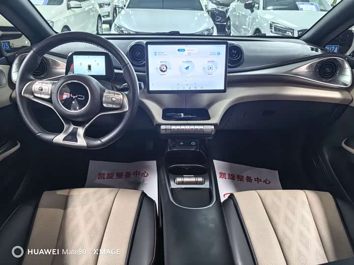 BYD Dolphin, 2025 — фото 9 из 9