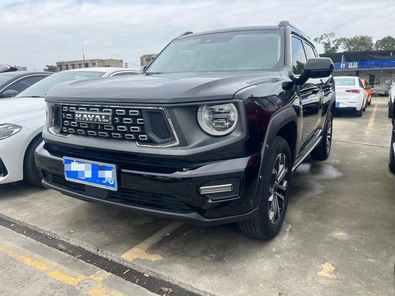 Haval H-Dog, 2023 — купить в Тольятти под ключ