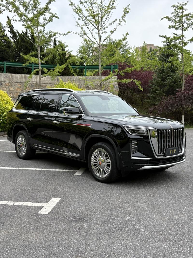 Hongqi LS7 (Guoyao), 2022 — фото 3 из 10