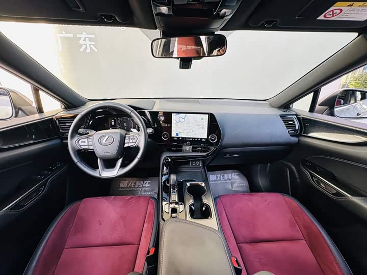Lexus NX, 2024 — фото 6 из 9