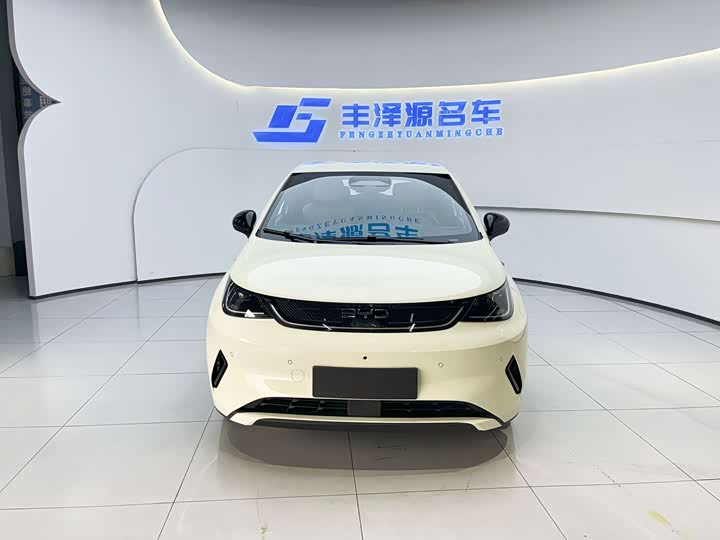 BYD Dolphin, 2025 — фото 2 из 9
