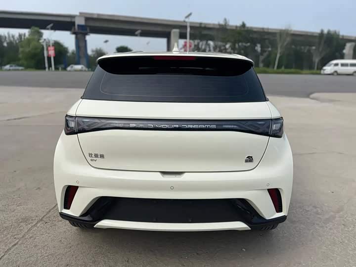 BYD Dolphin, 2022 — фото 6 из 9