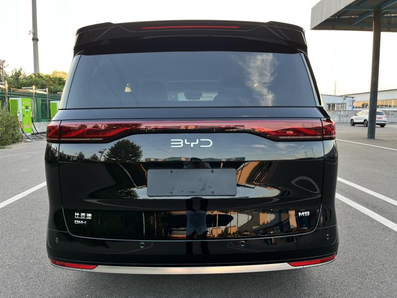 BYD M9, 2025 — фото 6 из 12