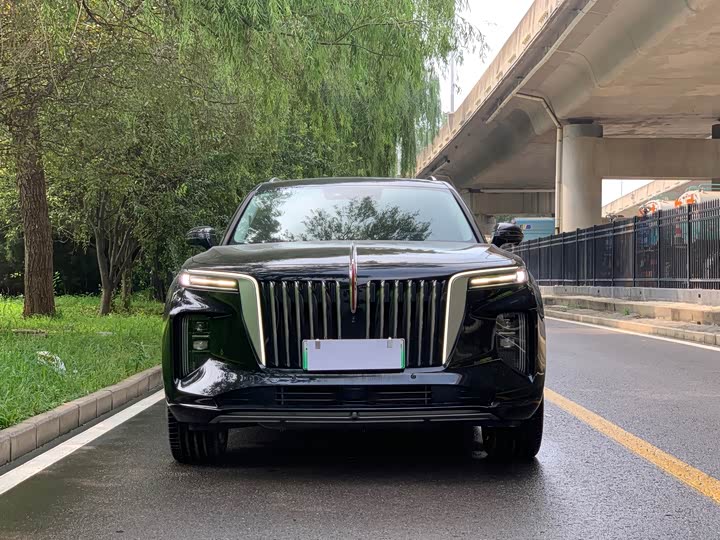 Hongqi E-HS9, 2023 — фото 2 из 9