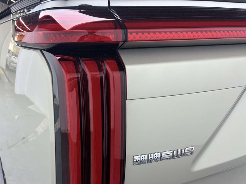 Wey 80 Hybrid, 2025 — фото 10 из 12