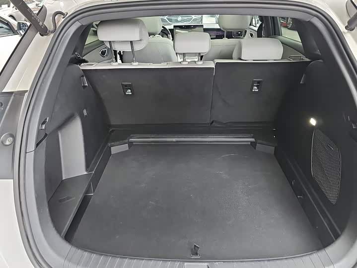 BYD Sea Lion 06 Hybrid/EV, 2025 — фото 4 из 9