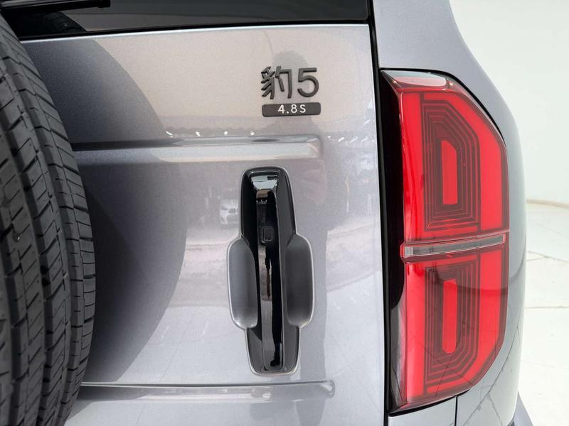BYD FangChengBao Leopard 5, 2025 — фото 10 из 12