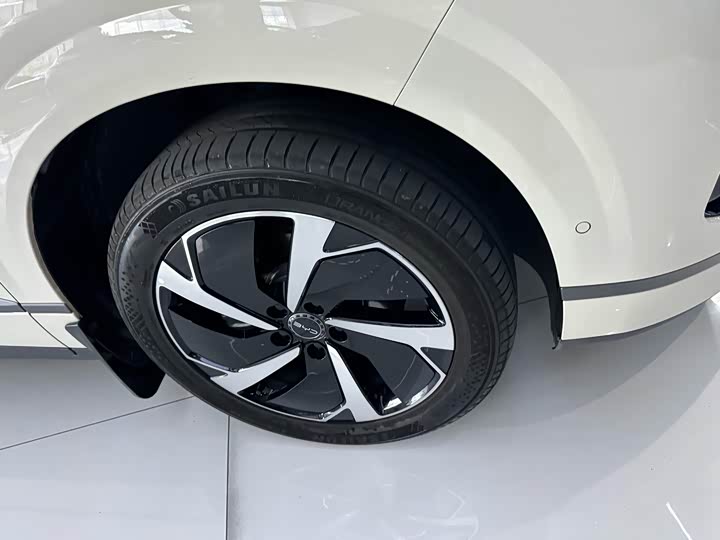 BYD Sea Lion 06 Hybrid/EV, 2025 — фото 5 из 9