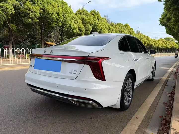 Hongqi H5, 2024 — фото 8 из 9