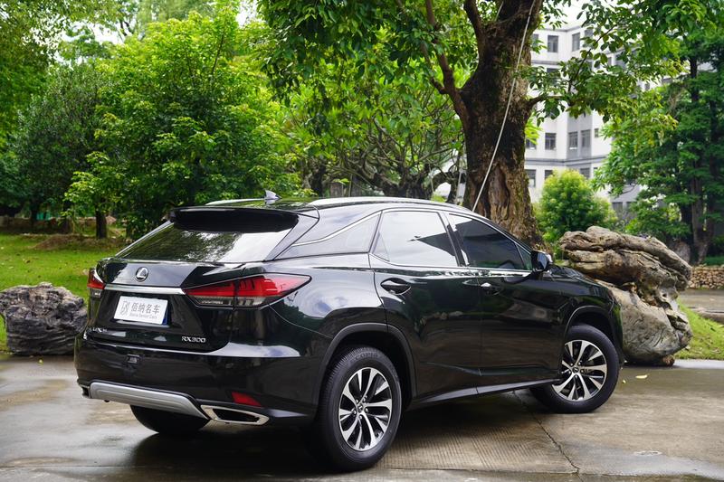 Lexus RX, 2022 — фото 7 из 12