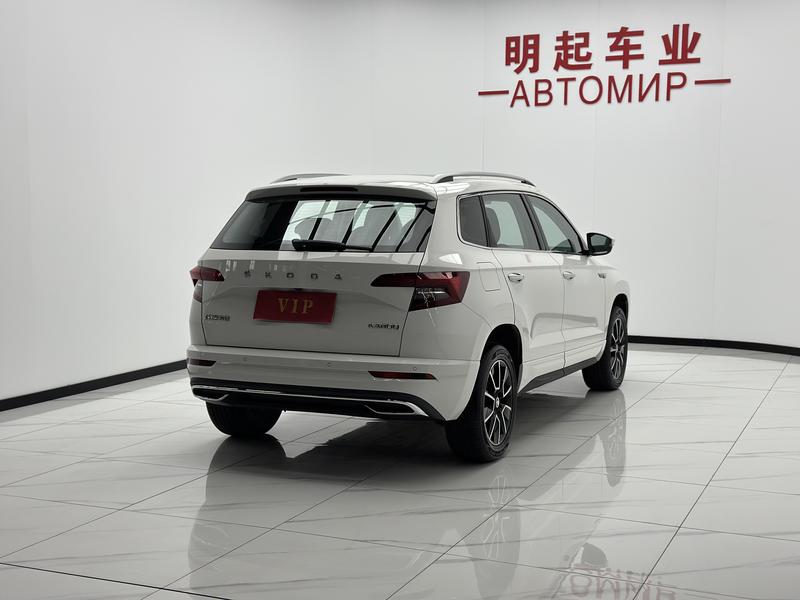 Skoda Karoq, 2023 — фото 6 из 12