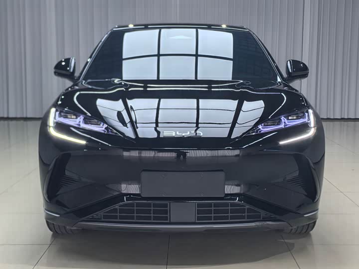 BYD Sea Lion 07 EV, 2024 — фото 2 из 9