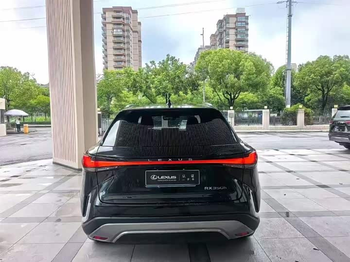 Lexus RX, 2023 — фото 8 из 9
