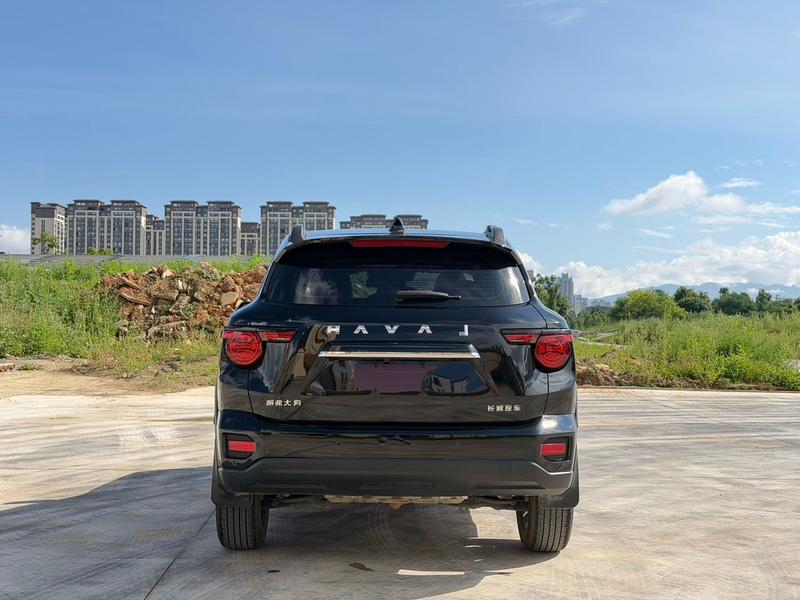 Haval H-Dog, 2023 — фото 5 из 9
