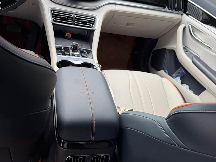 BYD Song Plus Hybrid/EV, 2024 — фото 6 из 9