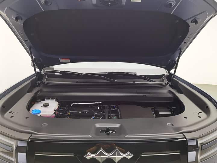 BYD FangChengBao Titanium 7 (Tai 7), 2025 — фото 6 из 9