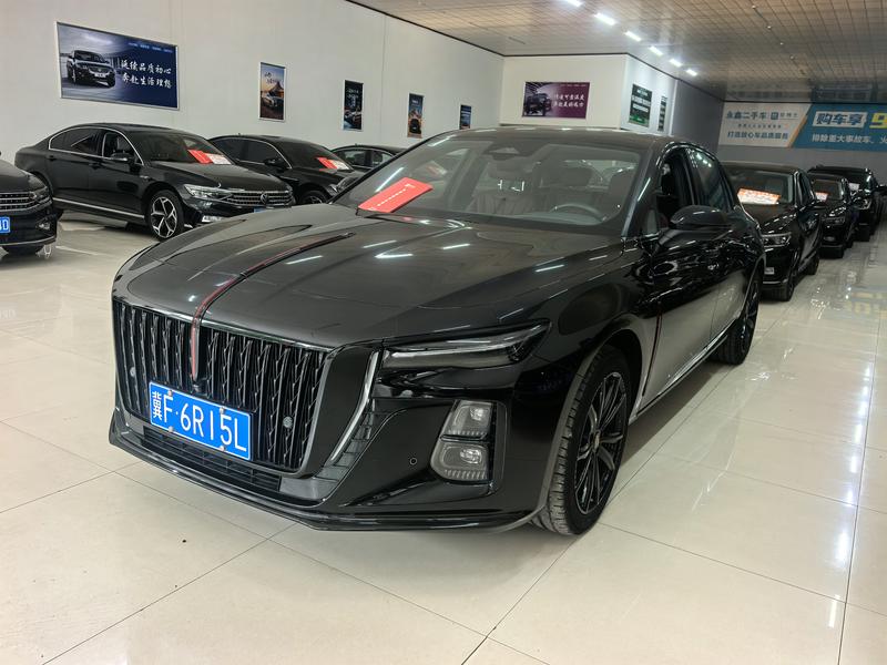 Hongqi H5, 2024 — купить в Тамбове под ключ