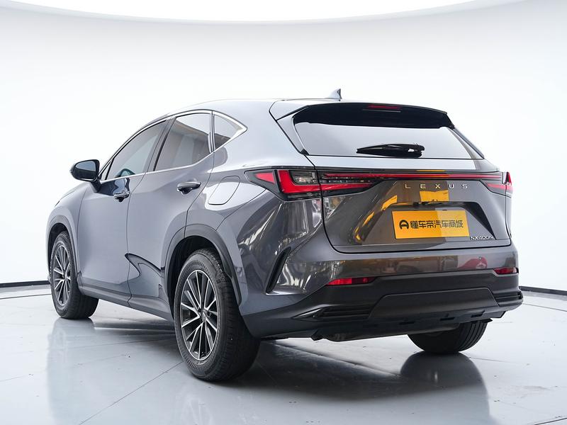 Lexus NX Hybrid, 2023 — фото 5 из 12