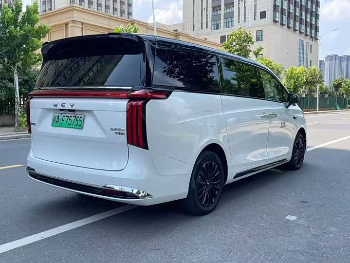 Wey 80 Hybrid, 2025 — фото 7 из 9