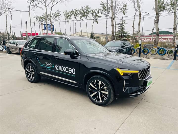 Volvo XC90 Hybrid, 2025 — фото 4 из 9