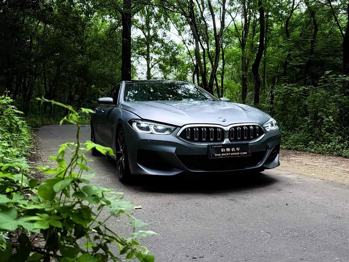 BMW 8 Series, 2024 — фото 5 из 9