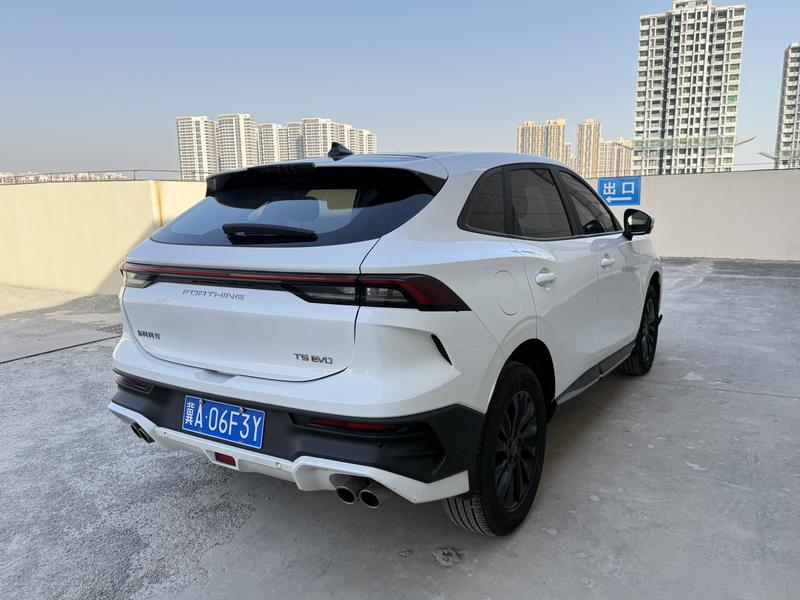 Dongfeng Forthing T5 EVO, 2023 — фото 7 из 12