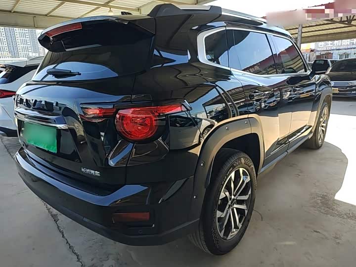 Haval H-Dog, 2024 — фото 7 из 9